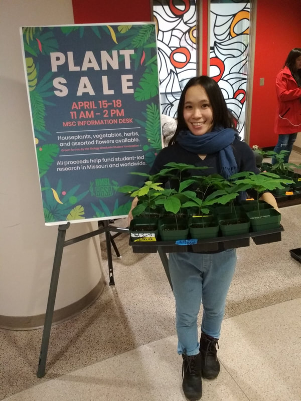 Plant sale in my university