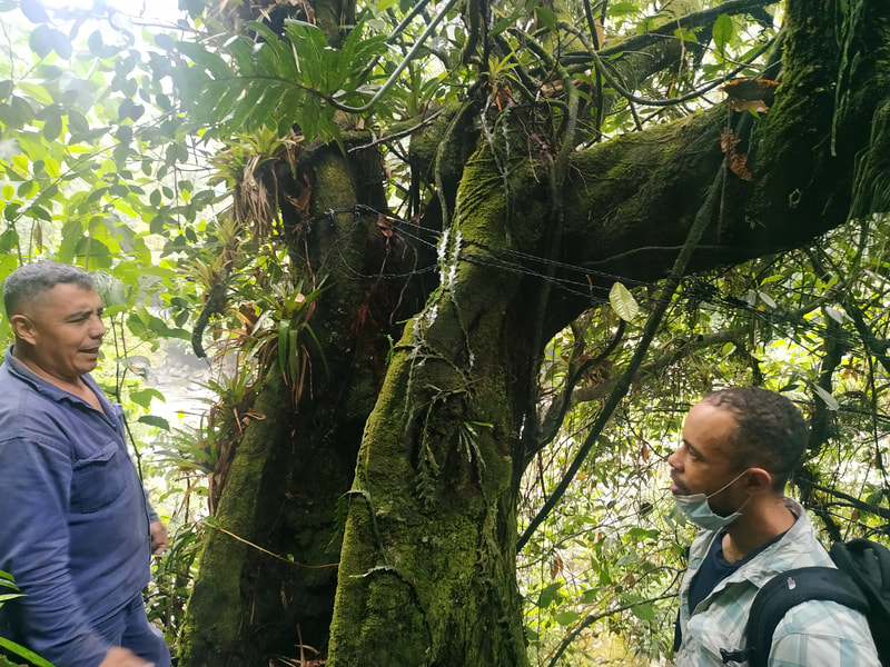 With Luis Hely Garcia Reyes, field guide in Colombia