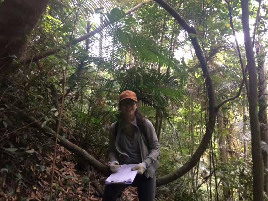 Doing seedling survey in Heishingding 50-hectre plot, a subtropical forest in China